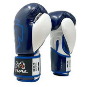 #color_navy-white
